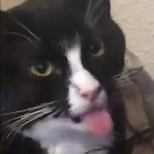 Meet your Posher, Gabby